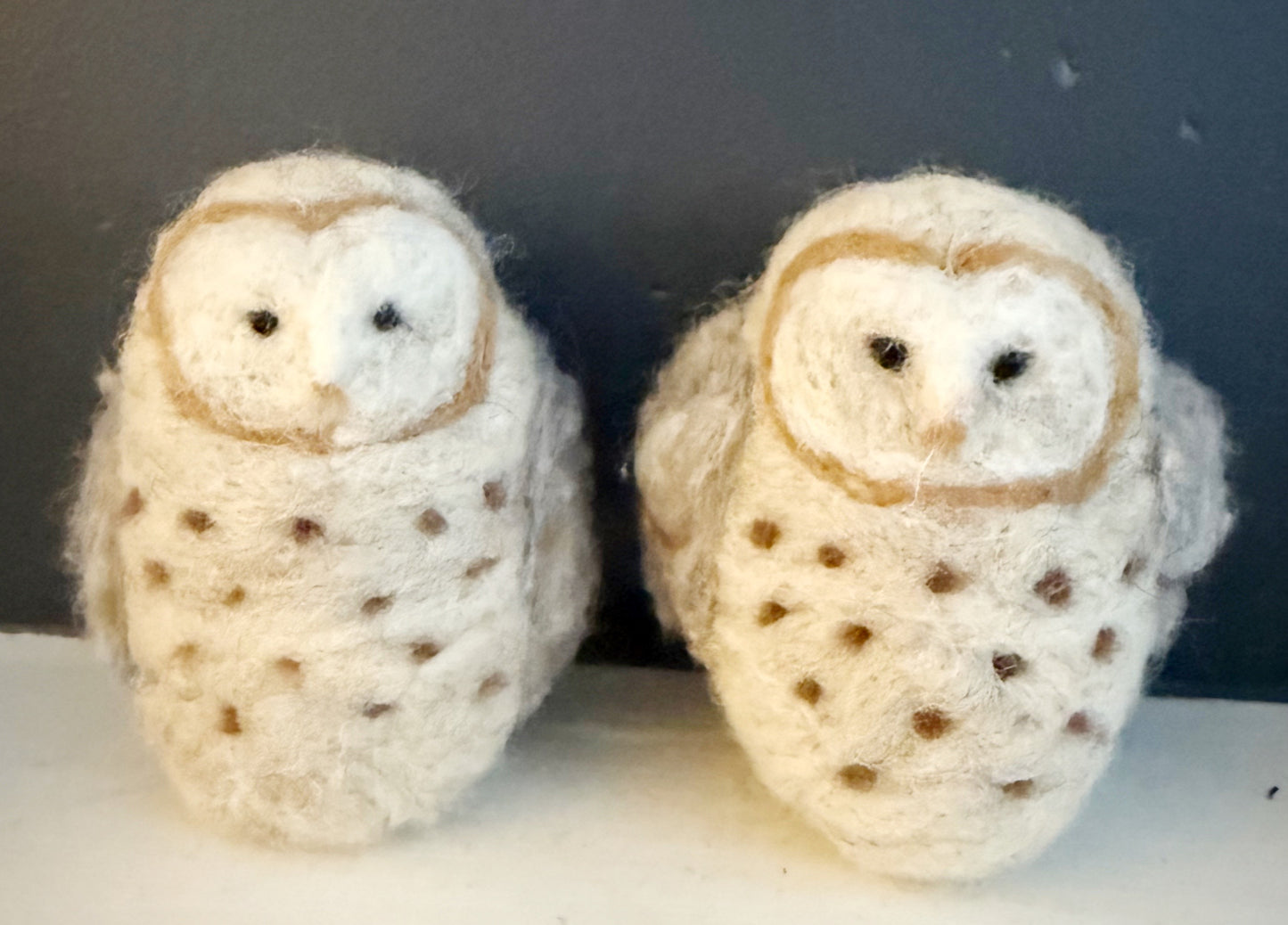 Owl Needle Felting Class @ Cynergy Training & Nutrition