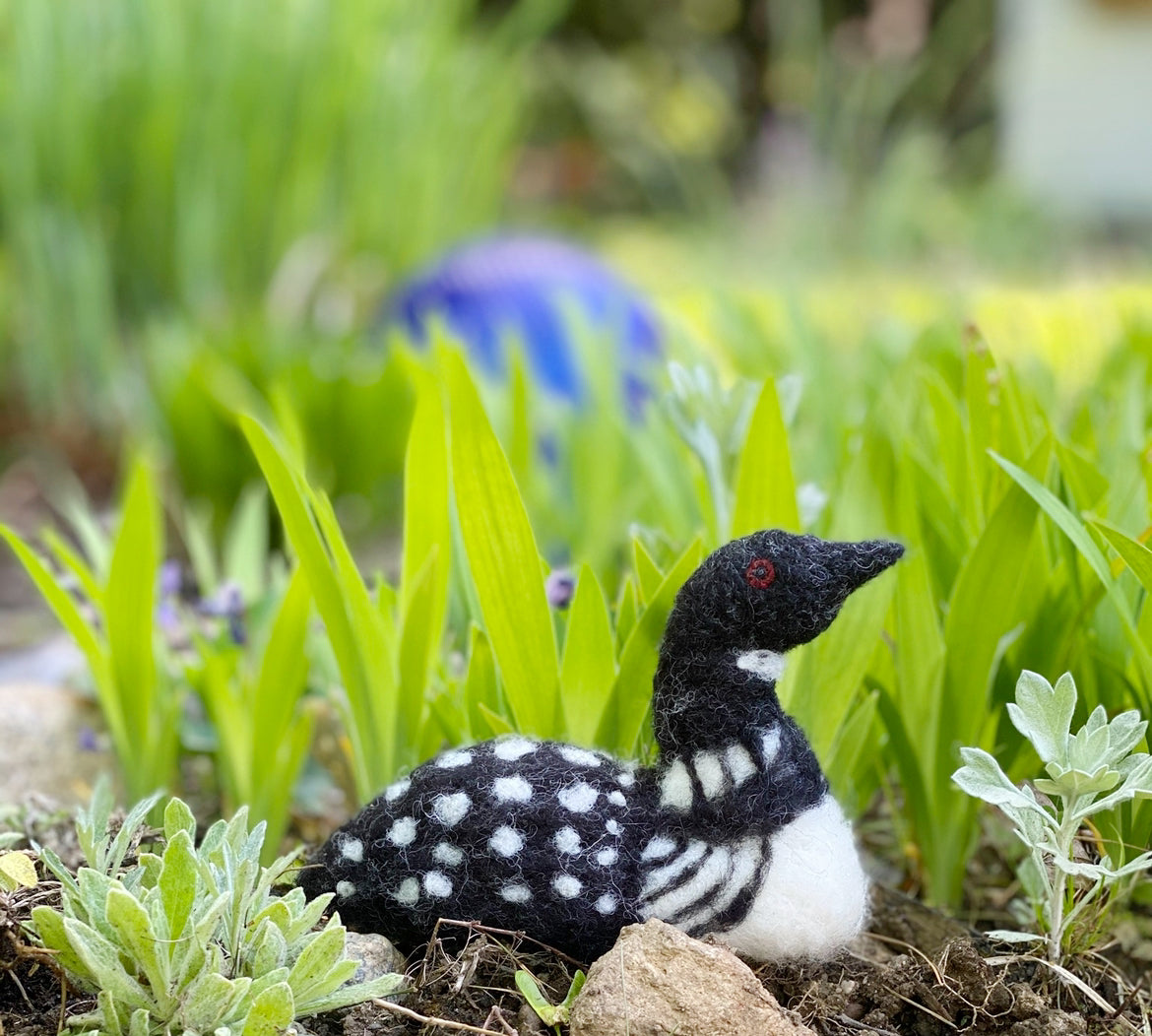 Common Loon Needle Felting Kit