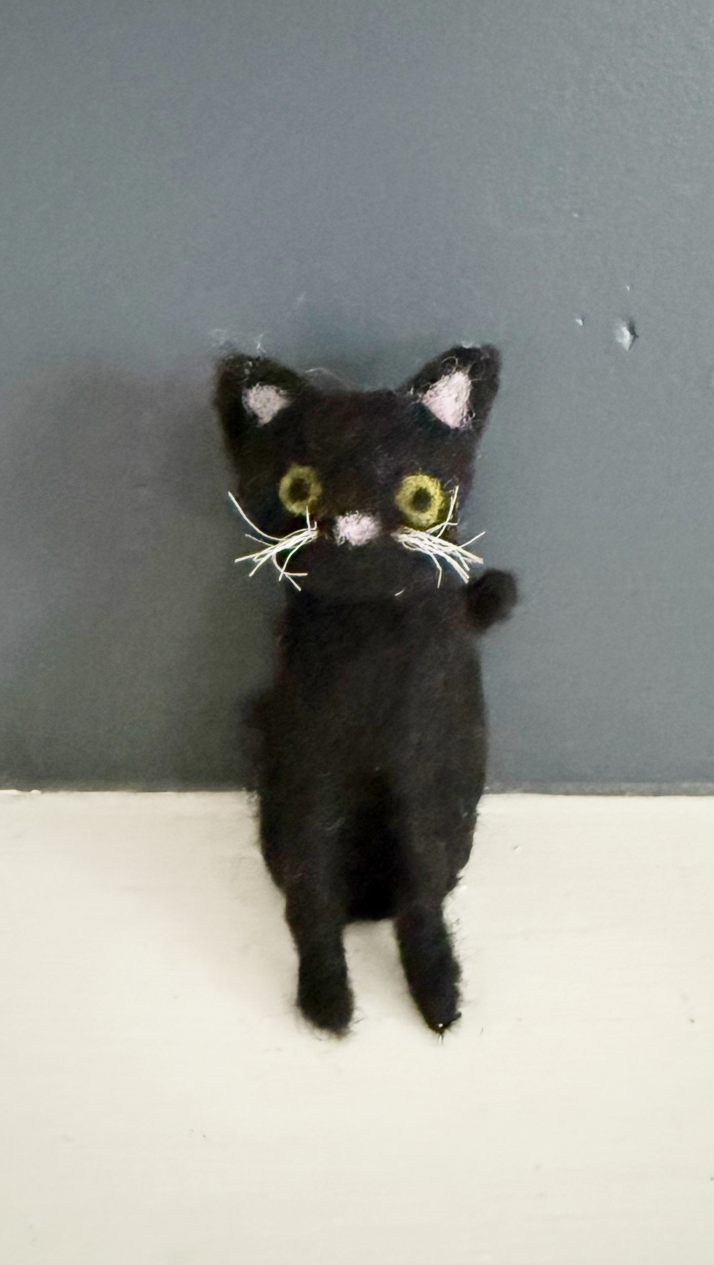 Black Cat Needle Felting Kit