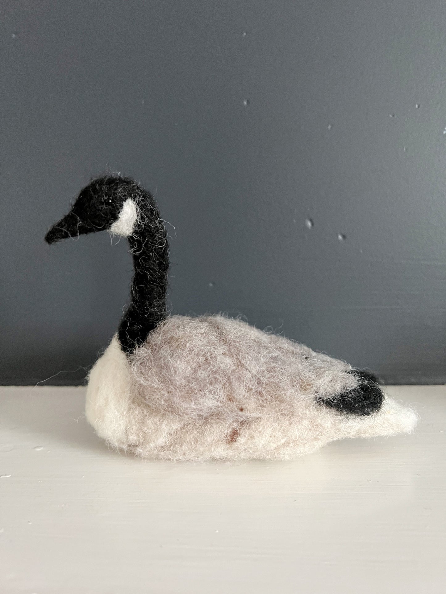 The Hive 2026: New England Backyard Animals