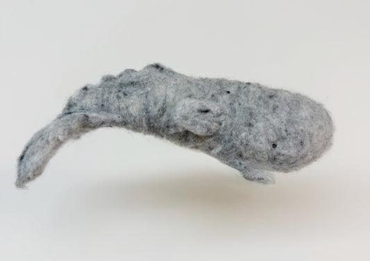 Grey Sperm Whale Needle Felting Kit