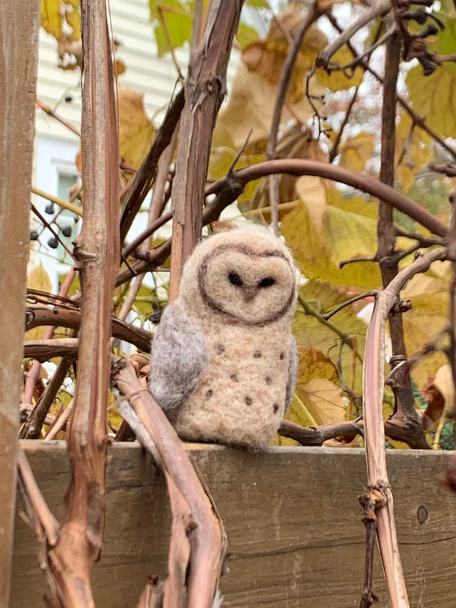 Barn Owl Needle Felting Kit