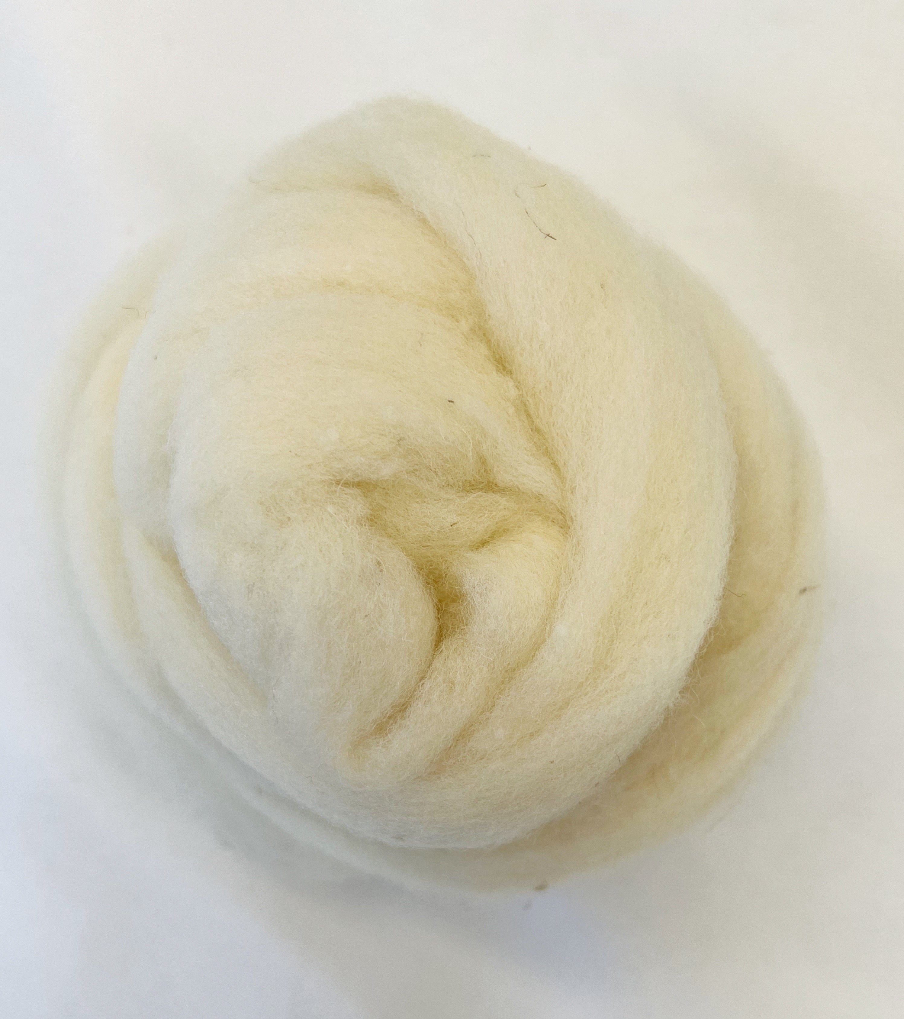 5kg Roving Wool Wool Roving – The Felted Bee