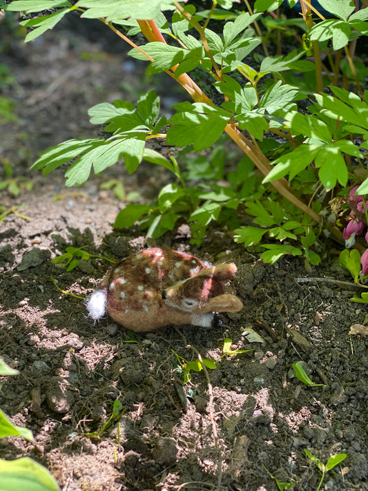 Sleeping Fawn Needle Felting Kit