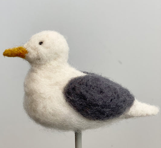 Seagull Online Tutorial Download Only