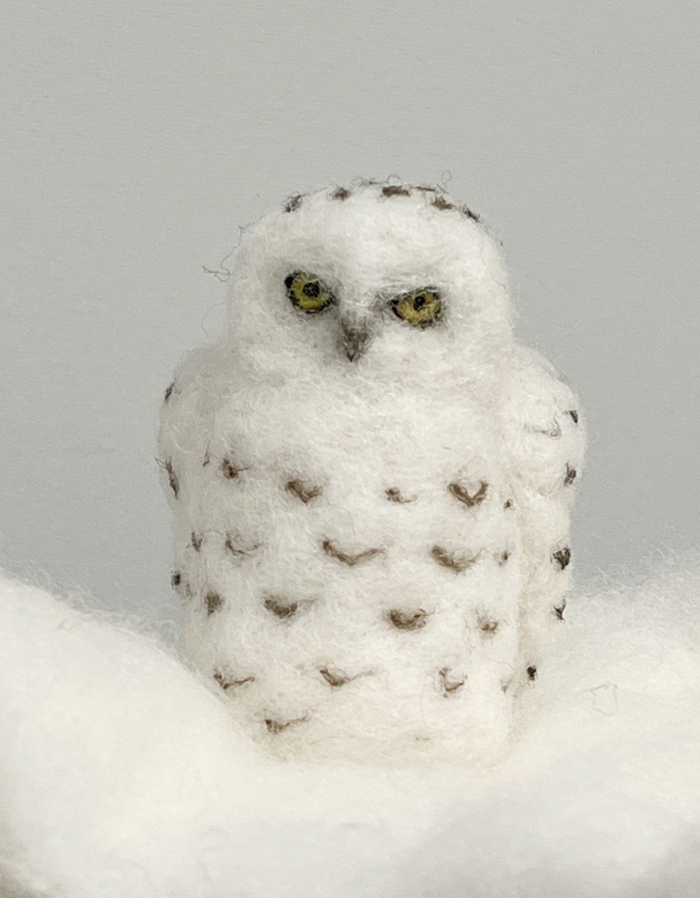 Snowy Owl Needle Felting Kit