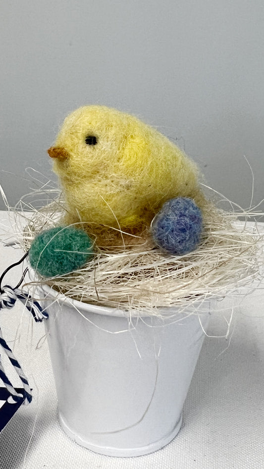 Yellow Chick in a Bucket